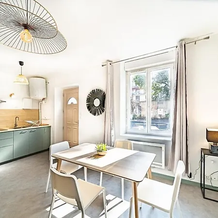 Les Amandiers 4 Pers- Centre-lyon Apartment Oullins