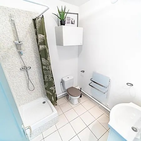 Les Amandiers 4 Pers- Centre-lyon Apartment *